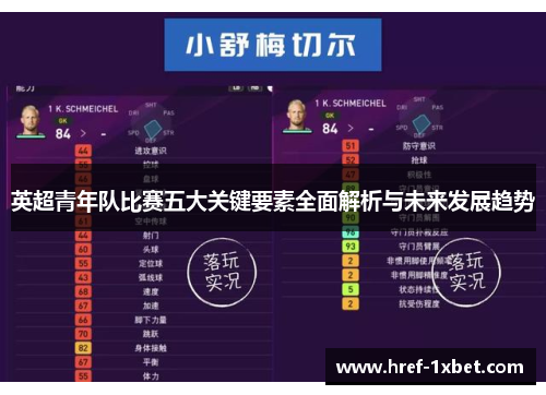 英超青年队比赛五大关键要素全面解析与未来发展趋势 英超青年队比赛五大关键要素全面解析与未来发展趋势