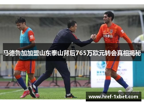 马德鲁加加盟山东泰山背后765万欧元转会真相揭秘 马德鲁加加盟山东泰山背后765万欧元转会真相揭秘